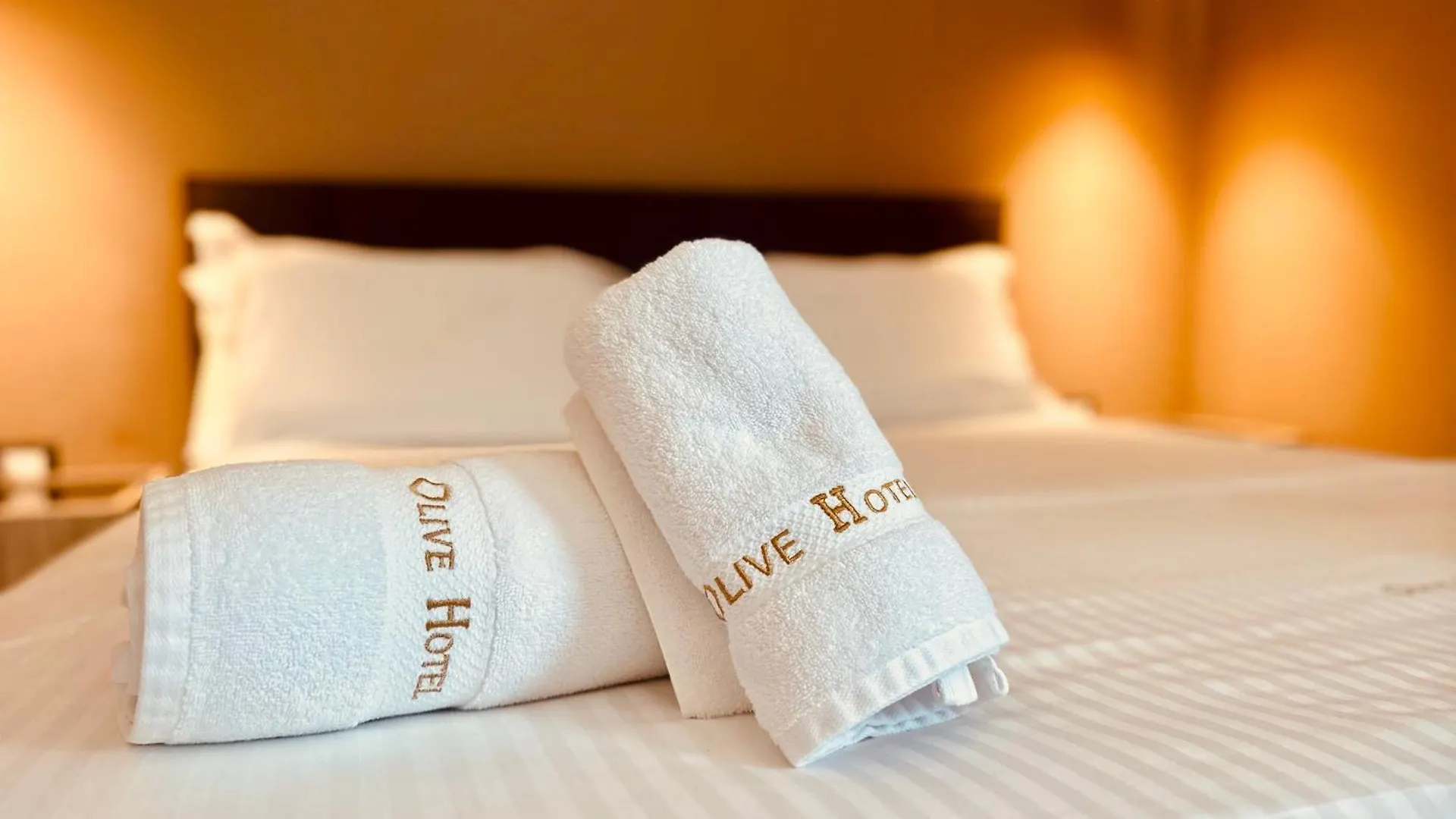Hotel Olive Vlorë 4*,